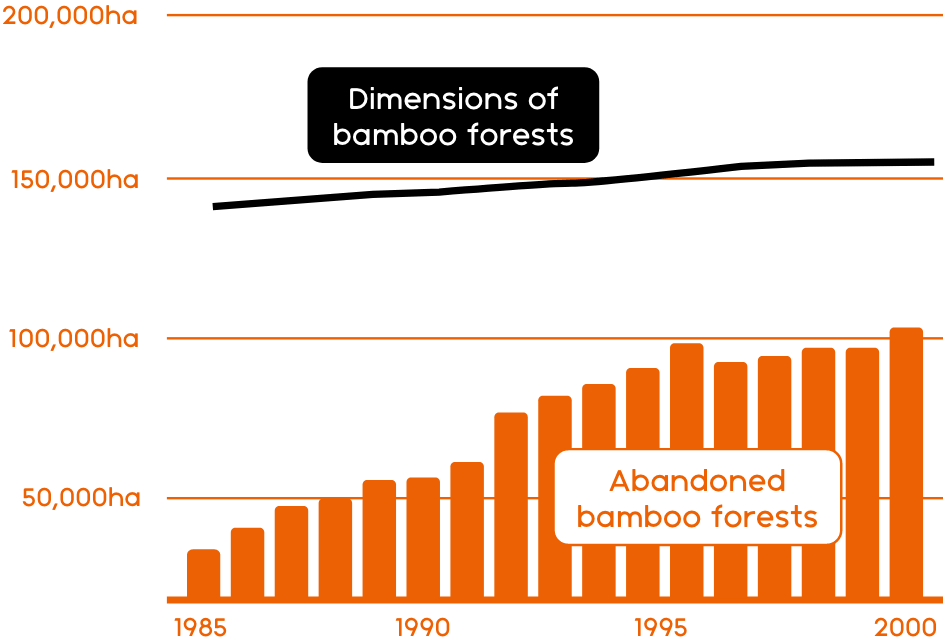 Continuous increase of abandoned bamboo forests: