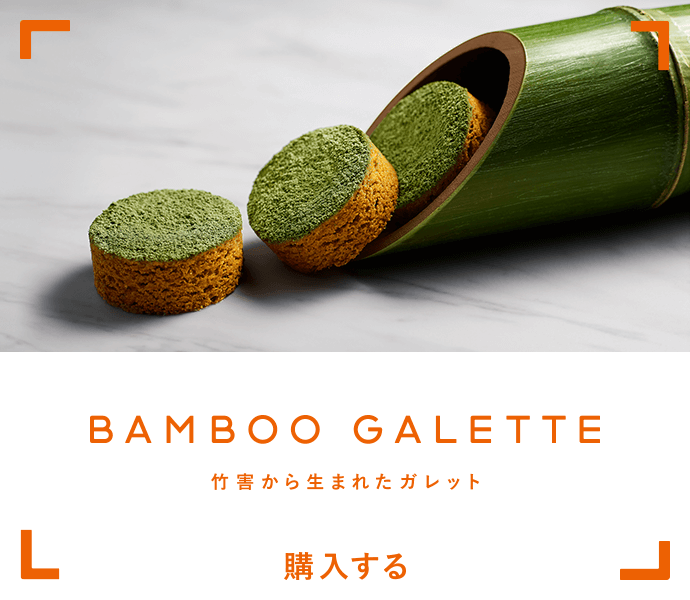 Bamboo Galette - 竹害から生まれたガレット -