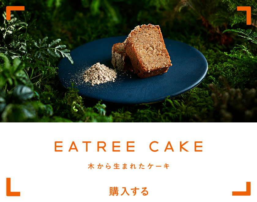 Eatree Cake - 木から生まれたケーキ -