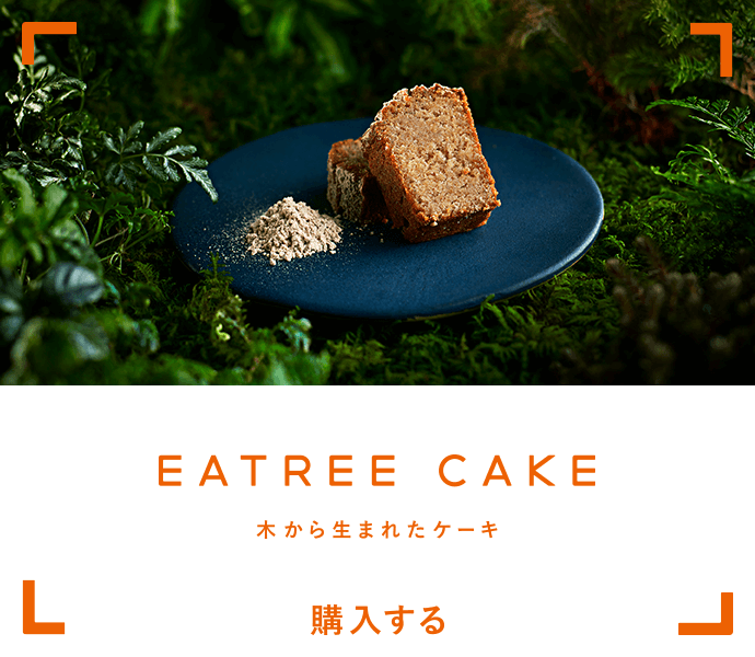Eatree Cake - 木から生まれたケーキ -